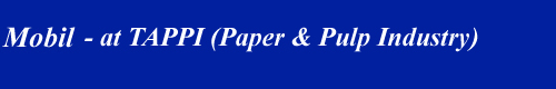 Mobil - TAPPI (Paper & Pulp) tradeshow kiosk